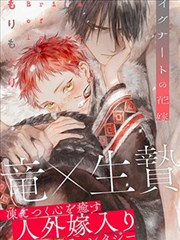 《雾都失物招领》封套：雾紫街灯下的失物招领窗口
